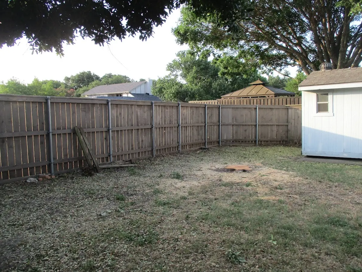 Cleared yard after professional tree removal in Modena