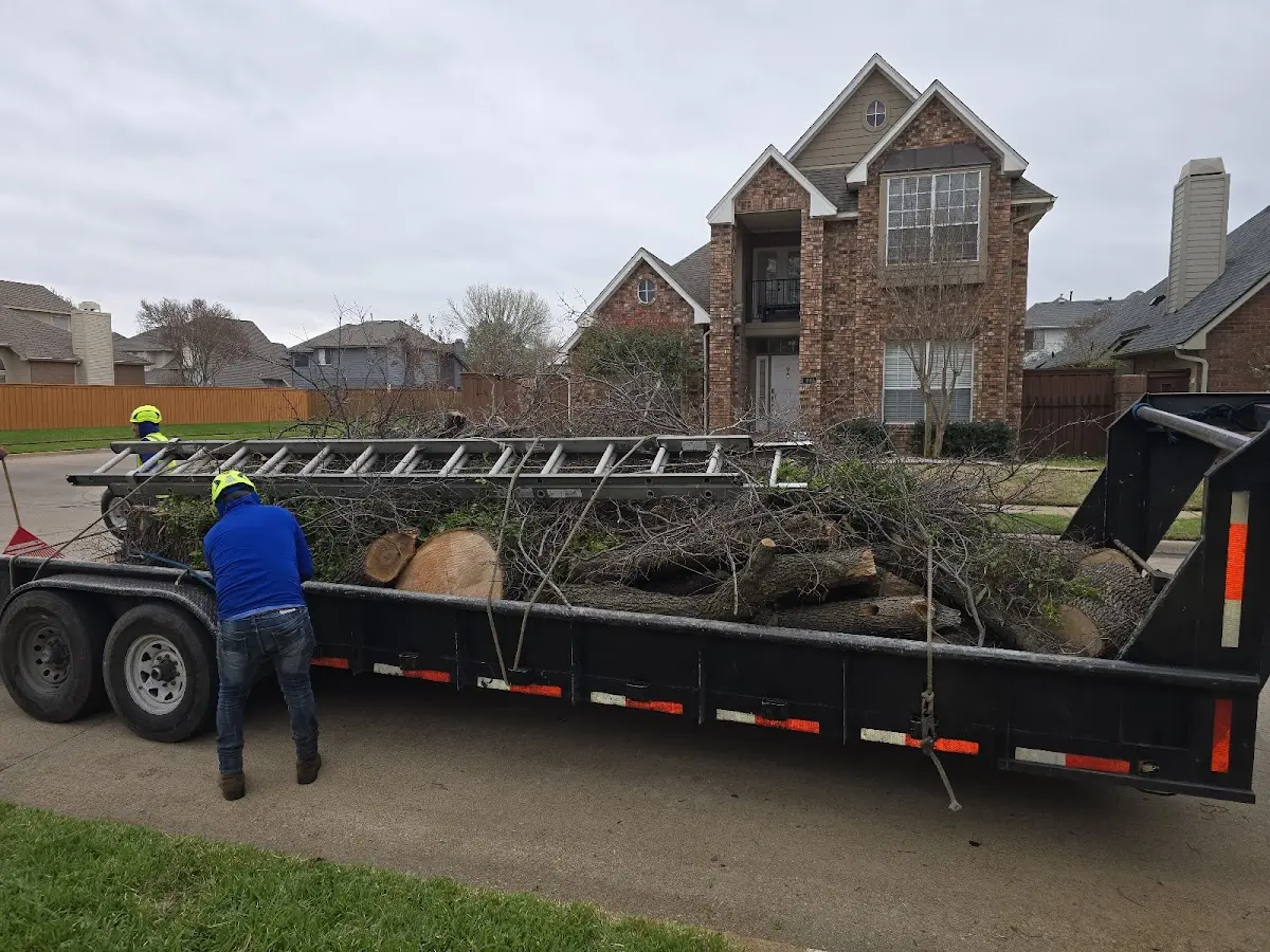 Expert Lot Clearing with proper safety equipment in Modena